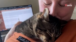 Cat owner reveals what she does to keep her senior cat cozy (video)