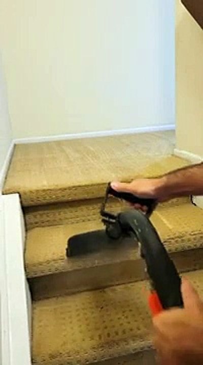 Carpet Cleaning Services at an affordable rate