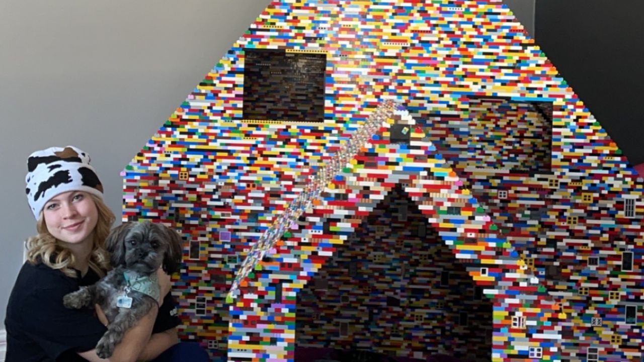 Lego-besessene mutter baut lebensgroße hundehäuser für ihren vierbeiner