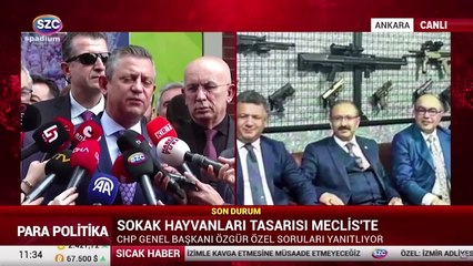 Özgür Özel'den sokak hayvanları açıklaması