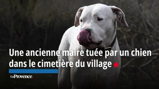 Nonagénaire tuée par un chien dans un cimetière du Gard : un élevage canin qui soulève des questions