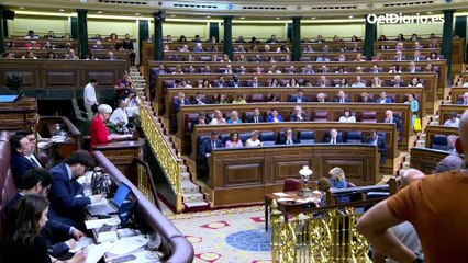 Una diputada del PP vota "no" a la ley de amnistía con un cartel por su afonía