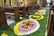 See the amazing Carpet of Flowers at Arundel Cathedral in West Sussex