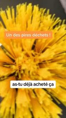 Merci pour la vaisselle !