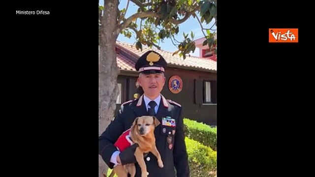 La mascotte dei carabinieri Briciola si prepara per il 2 giugno e celebra i 10 anni di servizio