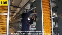 Modern Chicken House Construction With Automatic Chicken Raising Equipment