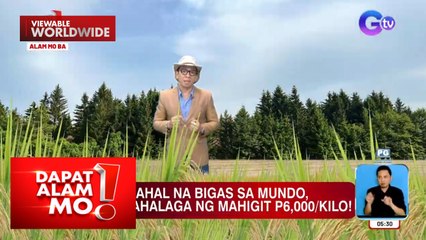Magkano ang pinakamahal na bigas sa buong mundo? | Dapat Alam Mo!