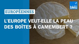 L'Europe veut-elle la peau des boîtes à camembert ? - Élections européennes 2024