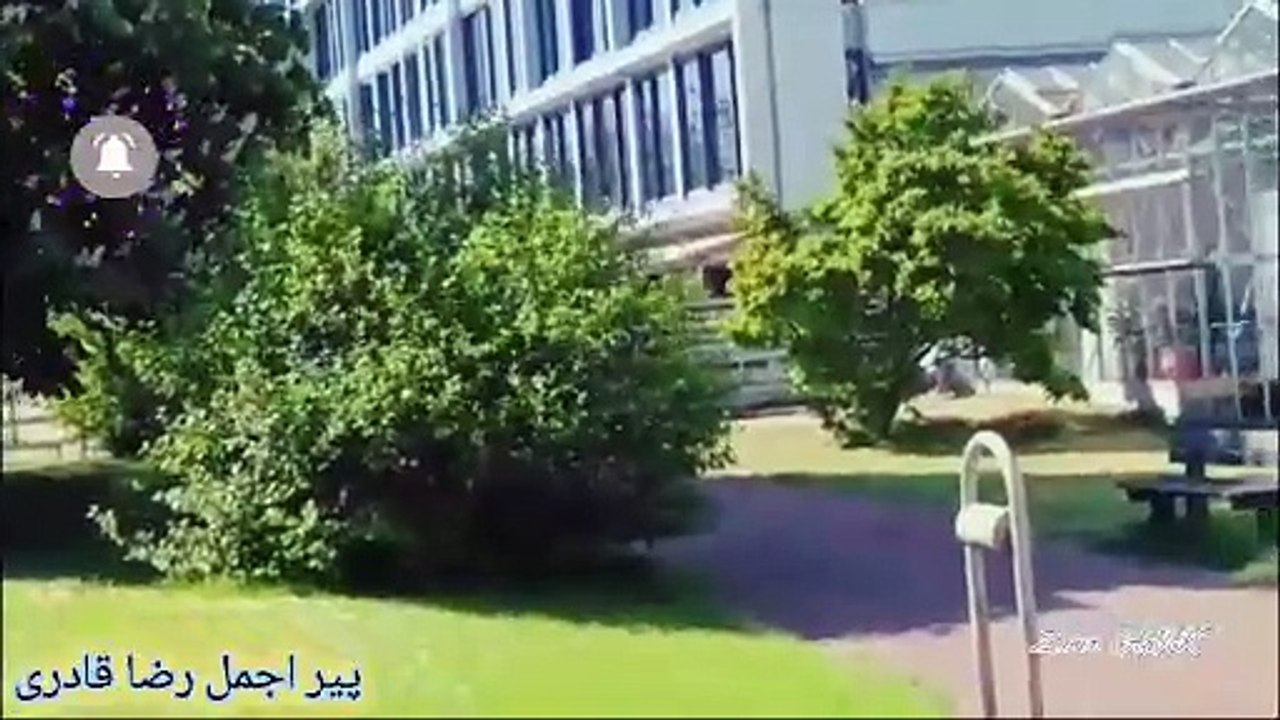 Tarbiyat yafta aurat