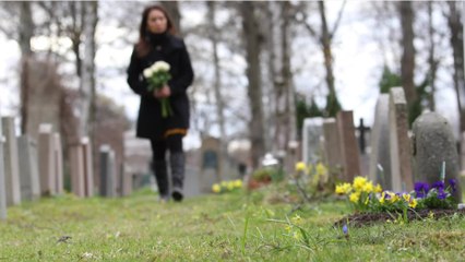 Gard : une femme de 93 ans tuée par un chien après avoir été attaquée dans un cimetière