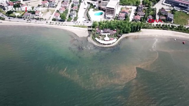 İzmit Körfezi’nde renk değişimi: Kırmızı ve kahverengiye dönüşmesinin sebebi...