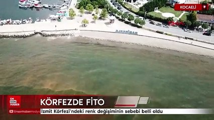 İzmit Körfezi’ndeki renk değişiminin sebebi belli oldu