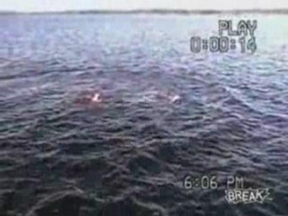 Skater Launched Off Dock