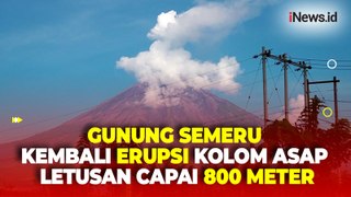 Lontarkan Kolom Asap Letusan Capai 800 Meter, Gunung Semeru kembali Erupsi Hari Ini