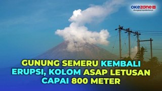 Gunung Semeru kembali Erupsi Hari Ini, Tinggi Kolom Asap Letusan Capai 800 Meter