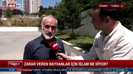 Zarar veren hayvanlar hakkında İslam ne diyor? İlahiyatçı Yzr. Mehmet Selim Özgül anlattı