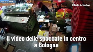 Il video delle spaccate in centro a Bologna