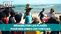 Réhabiliter les plages pour nos amies les tortues