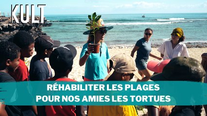 Réhabiliter les plages pour nos amies les tortues