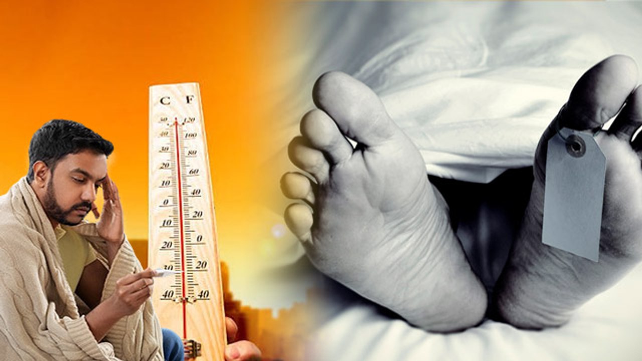 Heat S-troke से 107° Fever में First Demise, Instant Relief Home Remedies | Boldsky