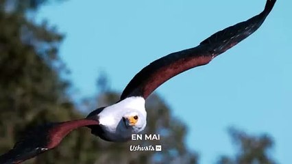 Ces héros qui changent le monde