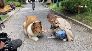 L’homme qui a dépensé 13.000 euros pour devenir un chien se lance un nouveau défi