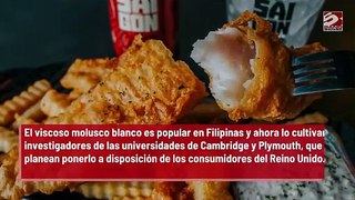 Las papas fritas y las galletas pueden causar demencia