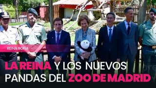 La reina Sofía da la bienvenida a los dos nuevos pandas del Zoo de Madrid