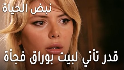 نبض الحياة الحلقة 20 - قدر تأتي لبيت بوراق فجأة