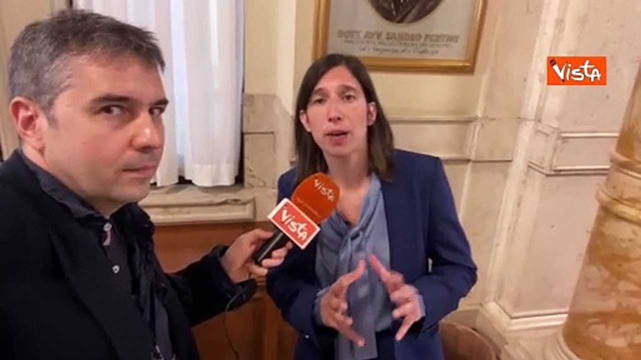 Schlein: "Salvare la sanit? pubblica dai tagli e dalla privatizzazione"