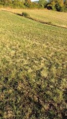 Terrible chute, mais rien de grave