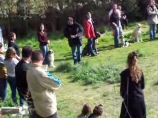 Démonstration à la SPA lors du vide grenier 1er