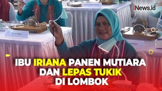 Ibu Iriana Bersama Istri-Istri Menteri Panen Mutiara dan Lepas Tukik saat Kunjungi Lombok