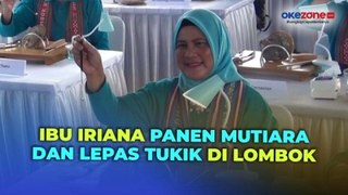 Ibu Iriana Bersama Istri-Istri Menteri Panen Mutiara dan Lepas Tukik di Lombok