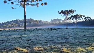 Geada chega à serra catarinense e termômetros baixam a -2,8ºC