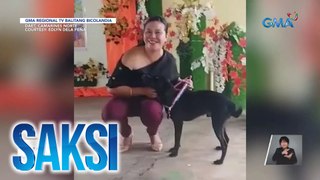 Rescued dog na laging present sa eskwela, binigyan ng medal dahil sa kanyang 