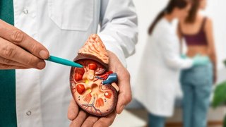 Los Malos Hábitos Perjudican La Salud Renal