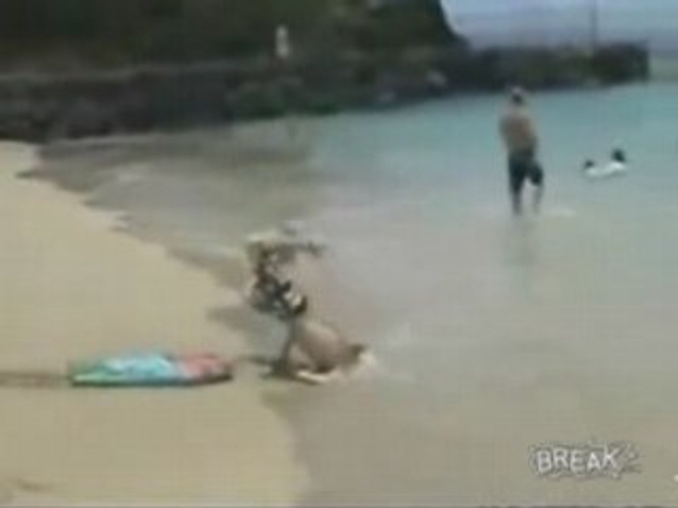 Beach Boogie Faceplant