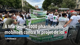 À Marseille, 1000 pharmaciens mobilisés contre le projet de loi