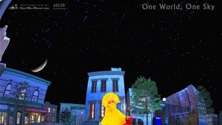 'One World, One Sky: Big Bird’s Adventure'- Tráiler oficial