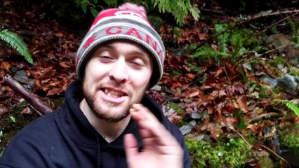 Finding Gold Nuggets Using a Metal Detector