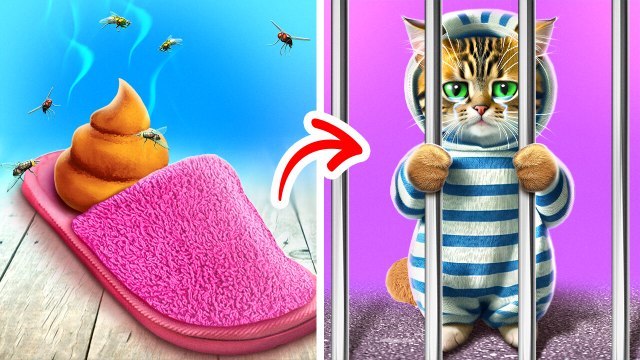 Cat's Sad Story Kitty Goes To Jail *Viral Gadgets And Crafts To Escape Prison*