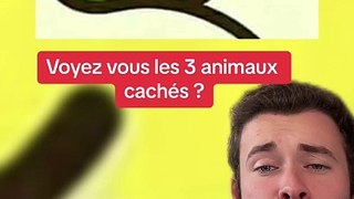 Trouver les 3 animaux (Exclu Dailymotion)