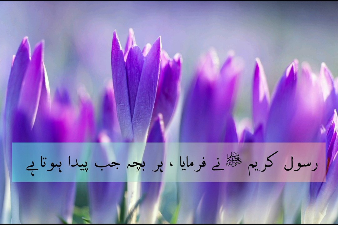 حديث نبوي صلى اللّه عليه وآله وسلم