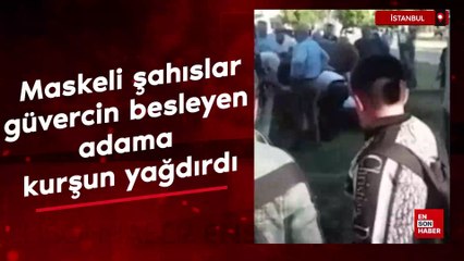 İstanbul'da maskeli şahıslar, güvercin besleyen adama kurşun yağdırdı