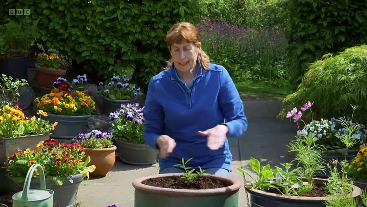 The Beechgrove Garden 2024 episode 9