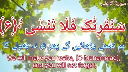 Surah aa,laa | Recitation Quran | voice of qari Shamsul haqe