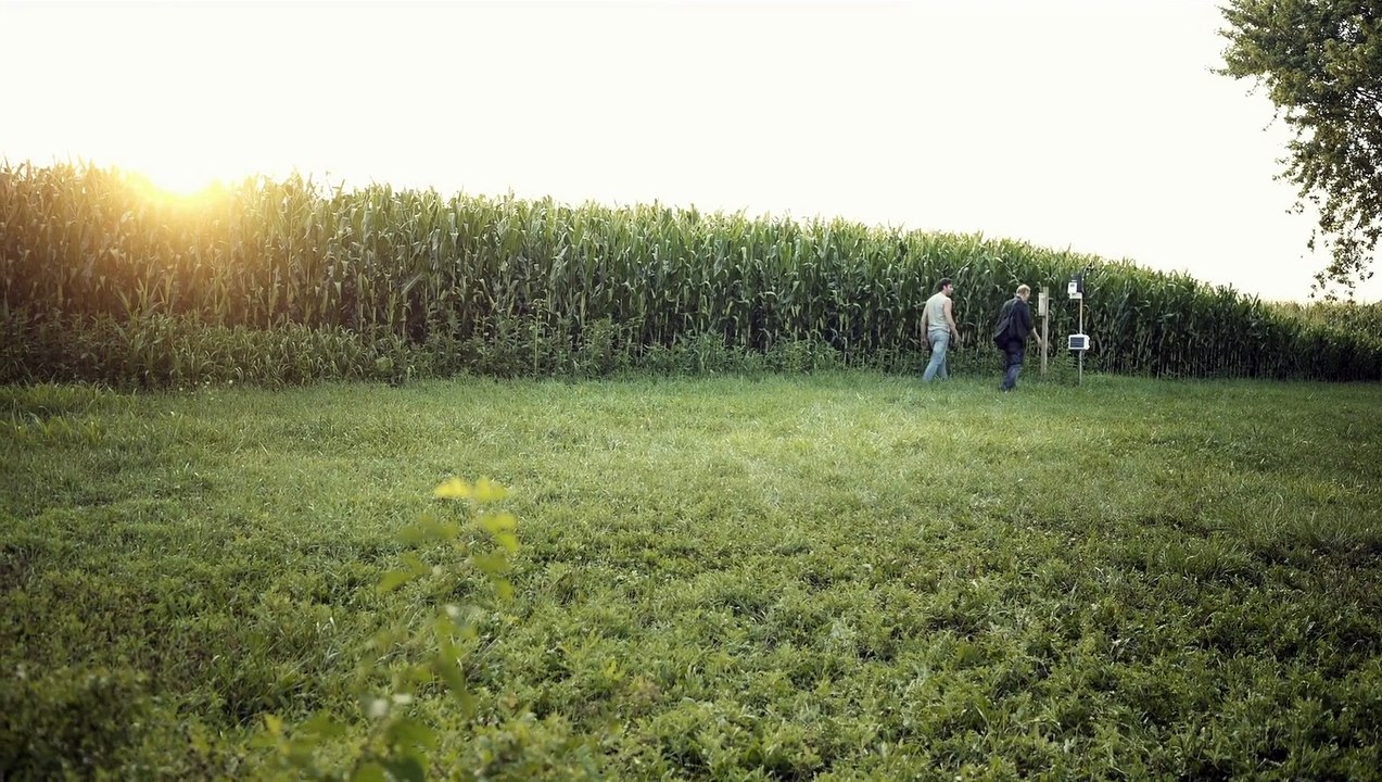 Watch Project Dorothy on Solarmovie - Free & HD Quality