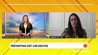 How we can prevent hot car deaths