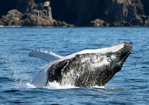 Spectacular scenes along the Humpback Highway at Port Stephens